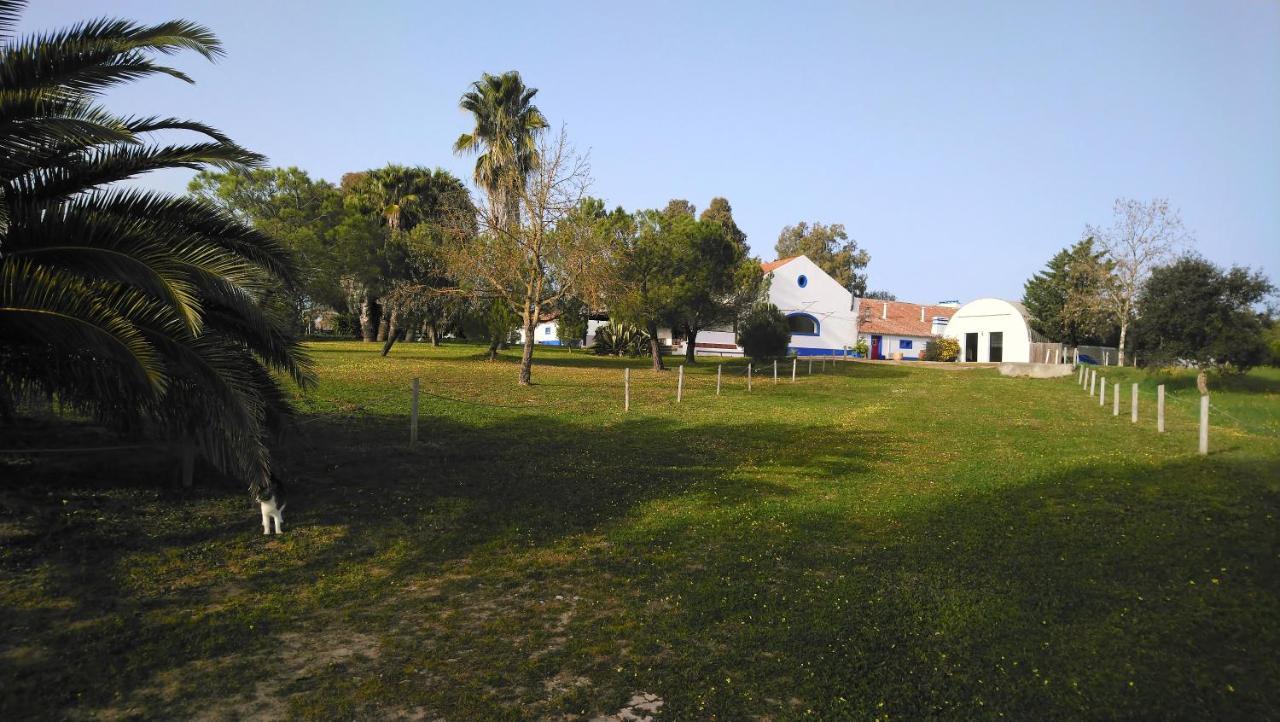 Lodge Monte Do Sobral Alcáçovas المظهر الخارجي الصورة