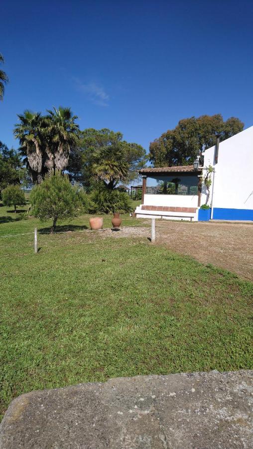 Lodge Monte Do Sobral Alcáçovas المظهر الخارجي الصورة