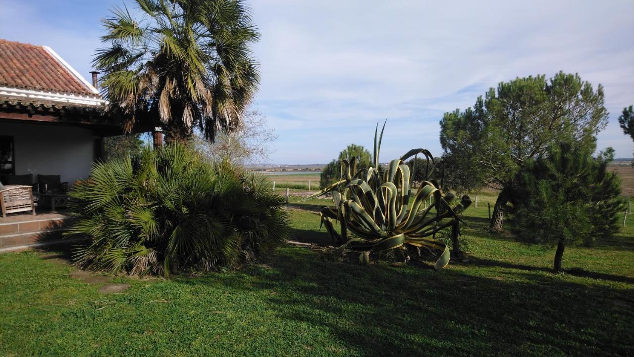 Lodge Monte Do Sobral Alcáçovas المظهر الخارجي الصورة