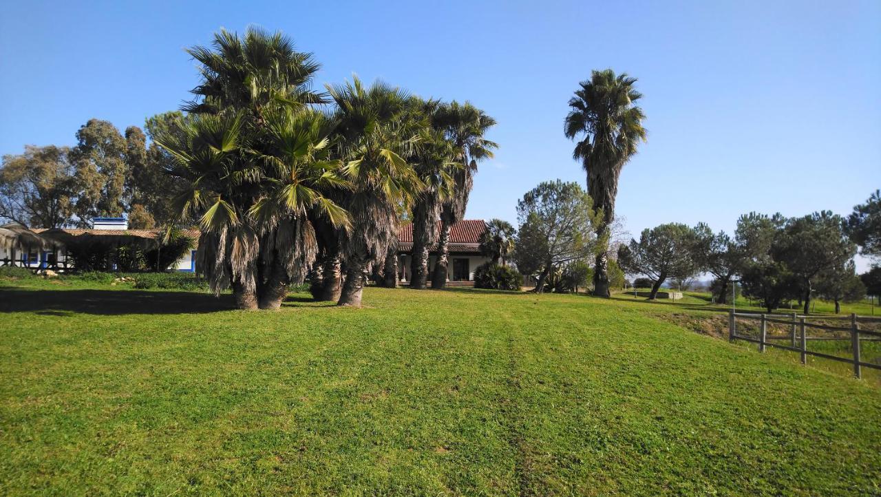 Lodge Monte Do Sobral Alcáçovas المظهر الخارجي الصورة