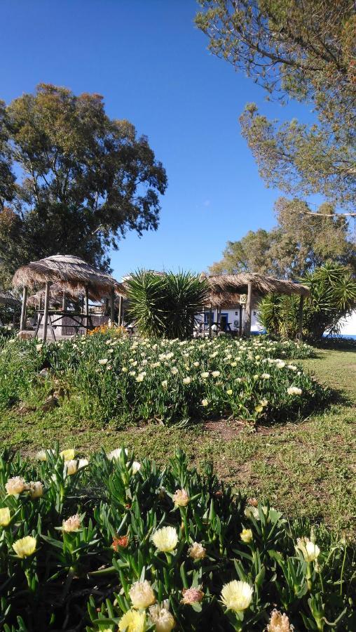 Lodge Monte Do Sobral Alcáçovas المظهر الخارجي الصورة