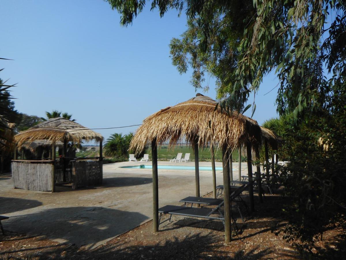 Lodge Monte Do Sobral Alcáçovas المظهر الخارجي الصورة